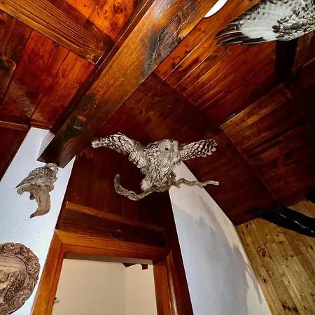 Lägenhet House Eagle *